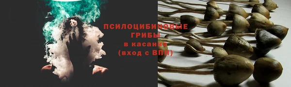 эйфоретик Осташков