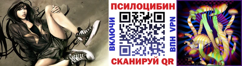 как найти   kraken ТОР  Псилоцибиновые грибы Magic Shrooms  Сертолово 