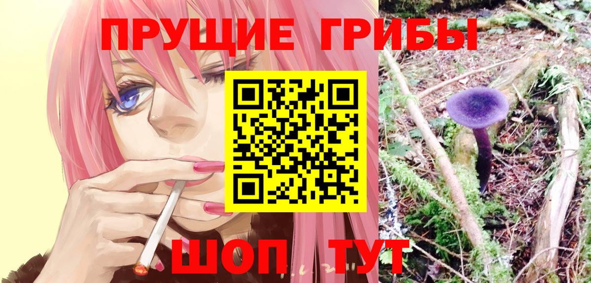Псилоцибиновые грибы прущие грибы  Вход с VPN  наркошоп  Сертолово 